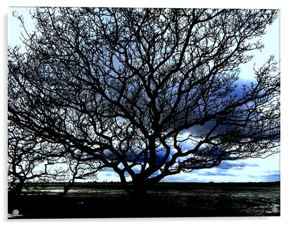 Tree Acrylic by John Black