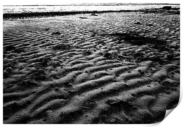 Rippled sand Print by John Black
