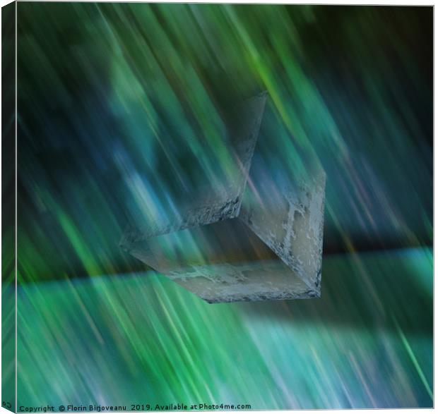 Falling Through Canvas Print by Florin Birjoveanu