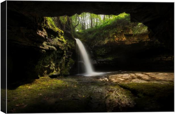 A cave with a waterfall Canvas Print by Leighton Collins