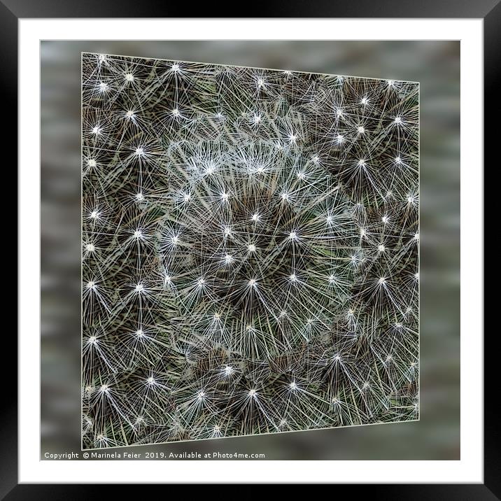 Spinning dandelion puff Framed Mounted Print by Marinela Feier