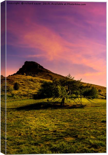 Enchanted Tree of Roseberry Topping Canvas Print by richard sayer