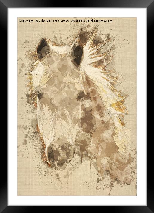 Pony  Framed Mounted Print by John Edwards