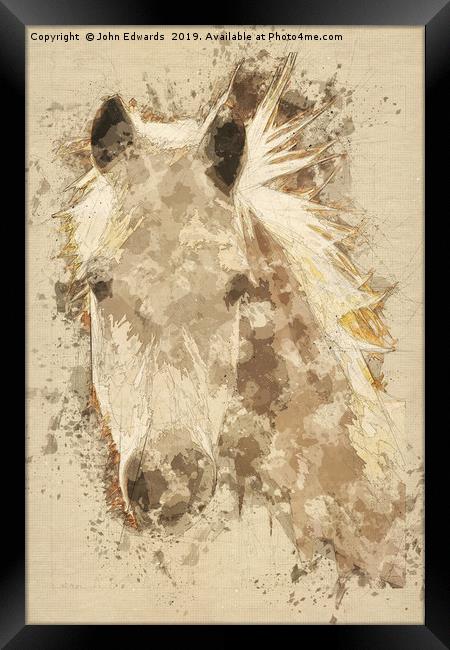 Pony  Framed Print by John Edwards