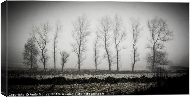 Winter Trees Canvas Print by Andy Morley