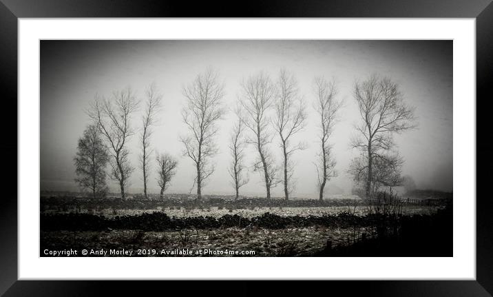 Winter Trees Framed Mounted Print by Andy Morley