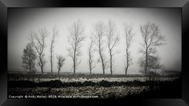 Winter Trees Framed Print by Andy Morley