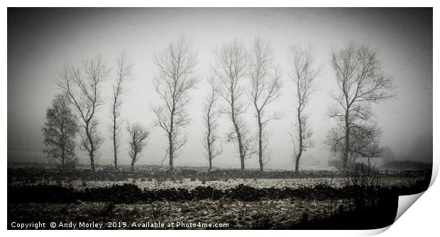 Winter Trees Print by Andy Morley