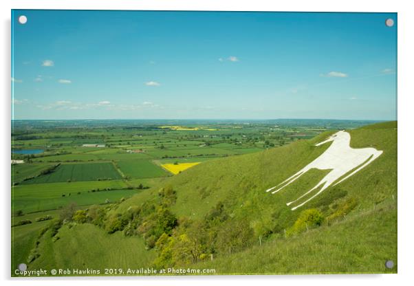 The White Horse of Westbury Acrylic by Rob Hawkins