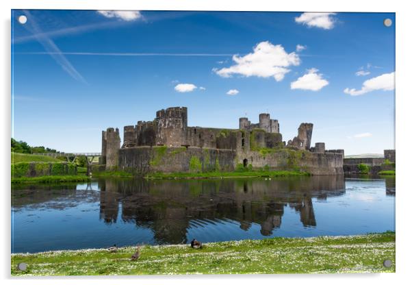 Spring At Caerphilly Castle 1 Acrylic by Steve Purnell