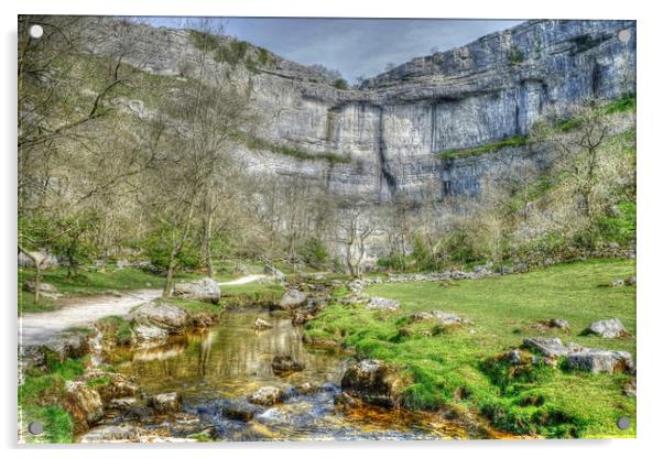  Malham Cove Yorkshire Dales Acrylic by Diana Mower