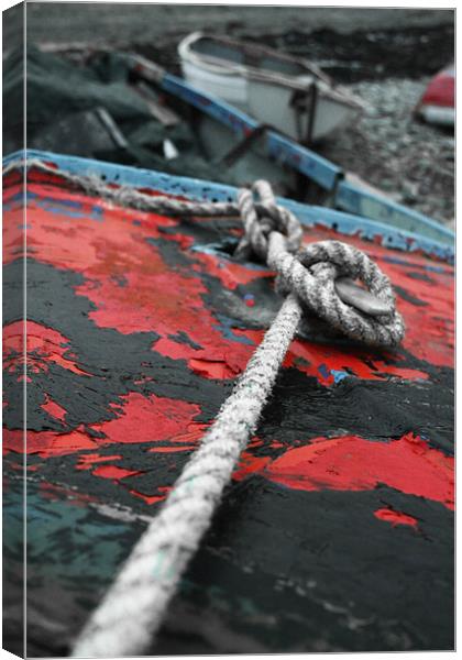 Tied Up Canvas Print by Neil Gavin
