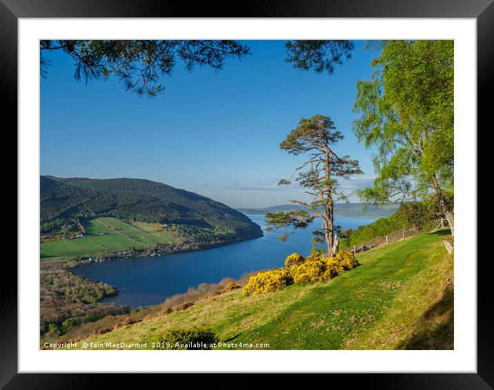 Loch Ness Postcard Framed Mounted Print by Iain MacDiarmid