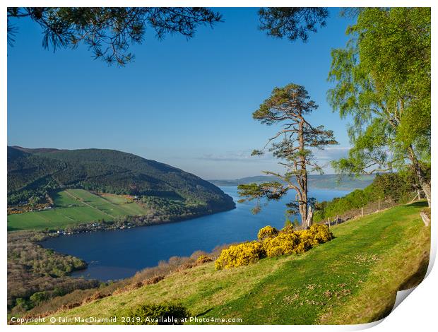 Loch Ness Postcard Print by Iain MacDiarmid