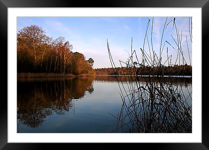 The lake Framed Mounted Print by Doug McRae