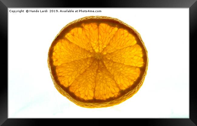 Tangerine Framed Print by DiFigiano Photography