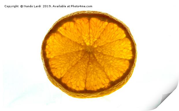 Tangerine Print by DiFigiano Photography