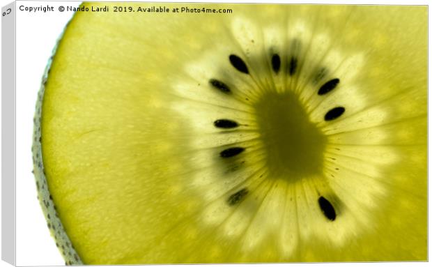 Golden Kiwi Canvas Print by DiFigiano Photography