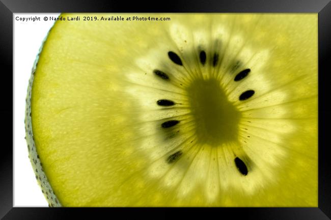 Golden Kiwi Framed Print by DiFigiano Photography