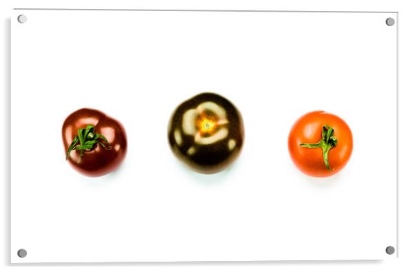 Tomato Trio Acrylic by DiFigiano Photography
