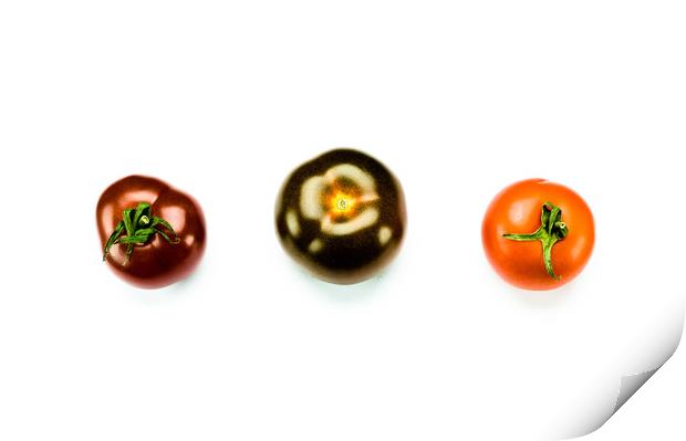 Tomato Trio Print by DiFigiano Photography