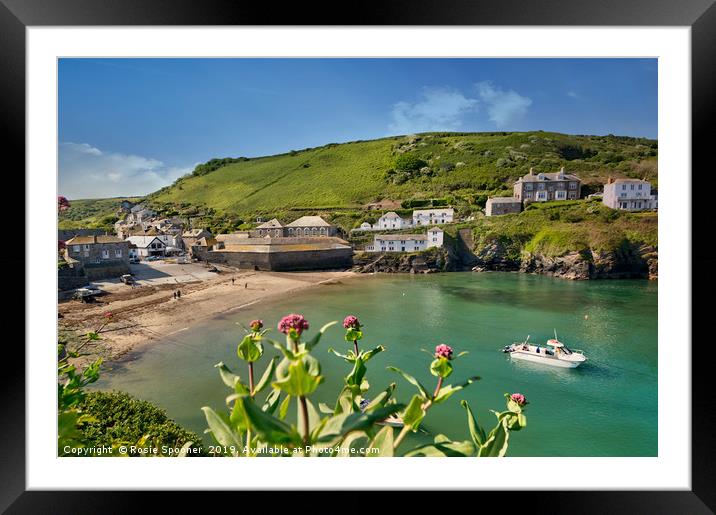 Looking down on Port Isaac in North Cornwall Framed Mounted Print by Rosie Spooner