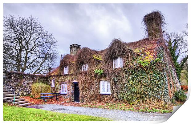 The Overgrown Cottage Print by Jim kernan