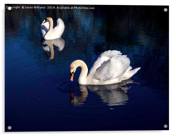 Swan Lake Acrylic by Jason Williams