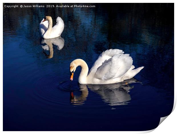 Swan Lake Print by Jason Williams