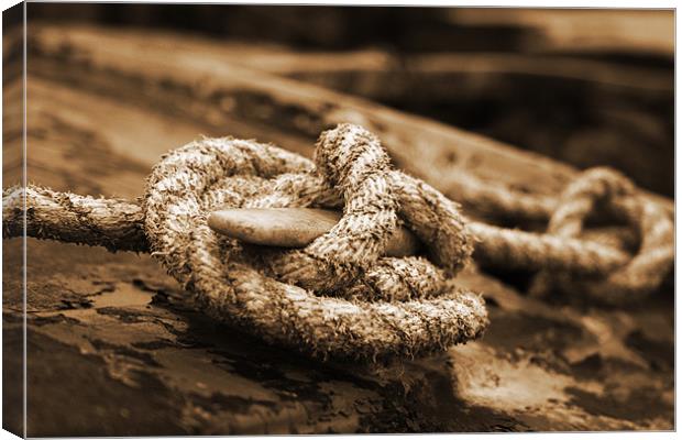 Sepia Rope Canvas Print by Neil Gavin