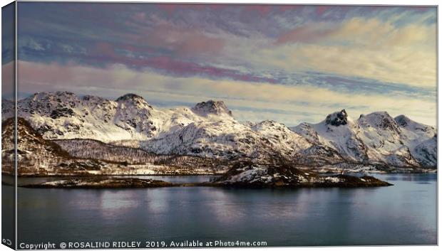 "Evening Light around the Lofoten islands" Canvas Print by ROS RIDLEY