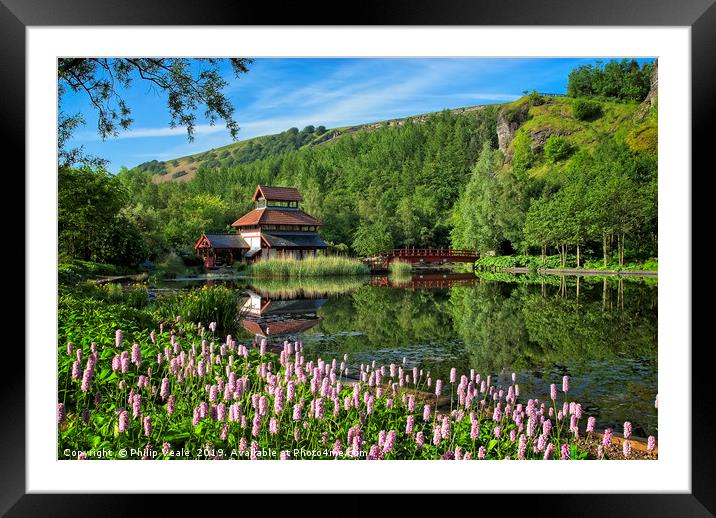 Festival Park Lake Summer Reflection. Framed Mounted Print by Philip Veale