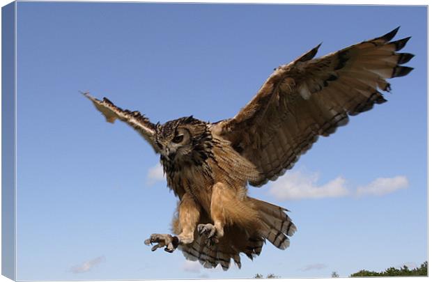 Verreaux Eagle owl Canvas Print by Gail Johnson
