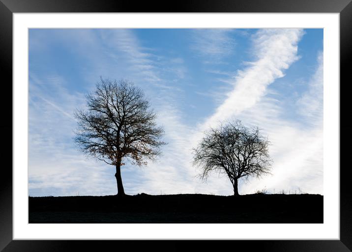 Two Trees Framed Mounted Print by Mike C.S.