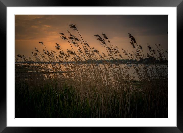 Chichester Harbour Sunset Framed Mounted Print by Steve Thomson