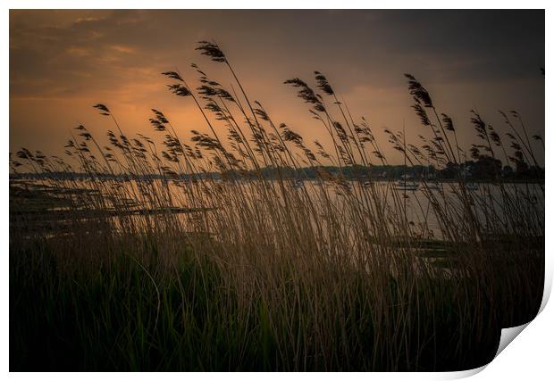 Chichester Harbour Sunset Print by Steve Thomson