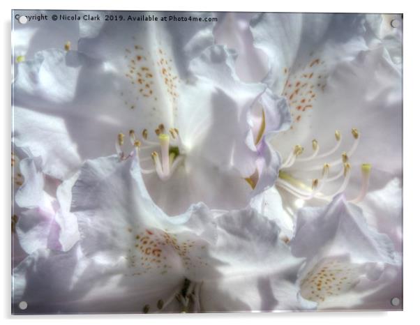 Rhododendron Acrylic by Nicola Clark