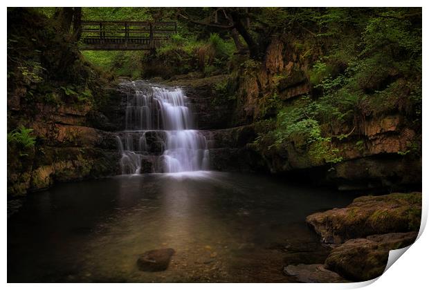 Dinas Rock waterfall Print by Leighton Collins