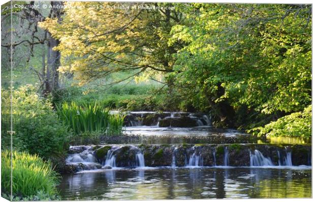 Local weir in Derbyshire countryside Canvas Print by Andrew Heaps