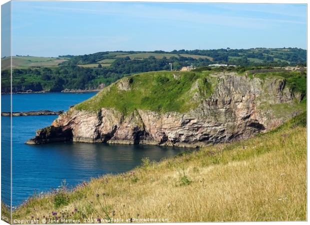 South Devon Coast Canvas Print by Jane Metters