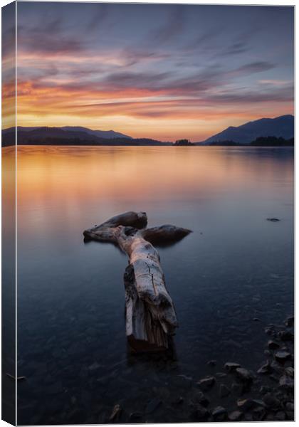 Derwent Driftwood Canvas Print by Jed Pearson