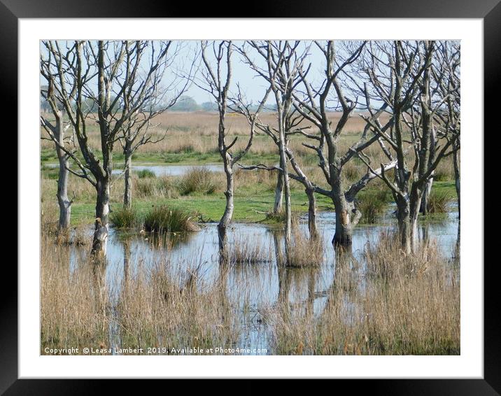           Hickling Nature Reserve  Framed Mounted Print by Leasa Lambert