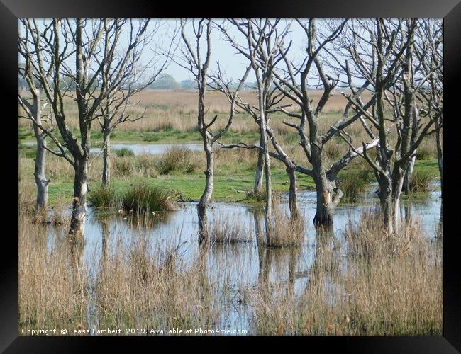           Hickling Nature Reserve  Framed Print by Leasa Lambert
