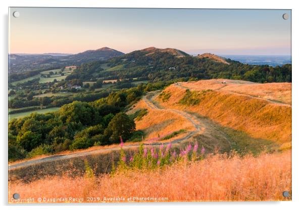 Malvern hills in the summer evening Acrylic by Daugirdas Racys