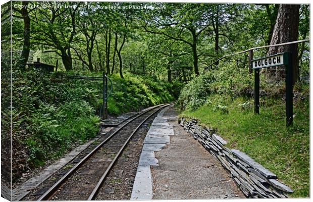 Dolgoch Station and woodlands.  Canvas Print by Frank Irwin
