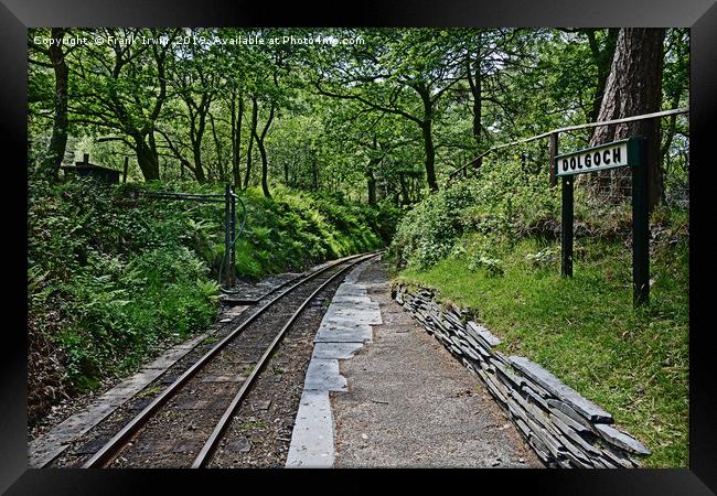 Dolgoch Station and woodlands.  Framed Print by Frank Irwin
