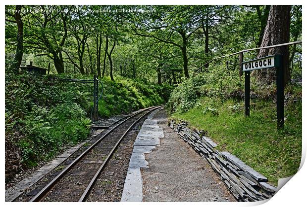 Dolgoch Station and woodlands.  Print by Frank Irwin