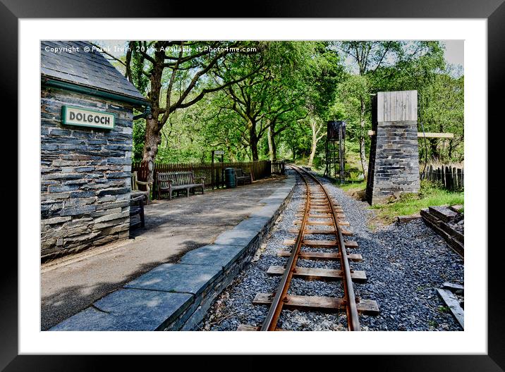 Dolgoch Station and woodlands. Framed Mounted Print by Frank Irwin