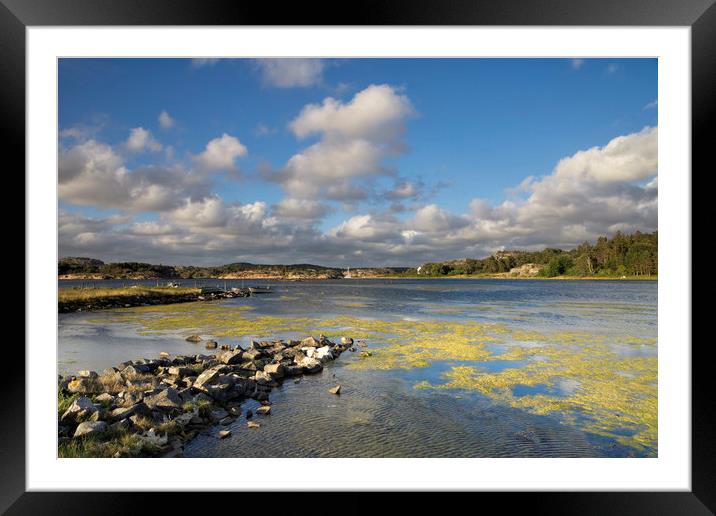 Coast near Havstenssund Framed Mounted Print by John Stuij