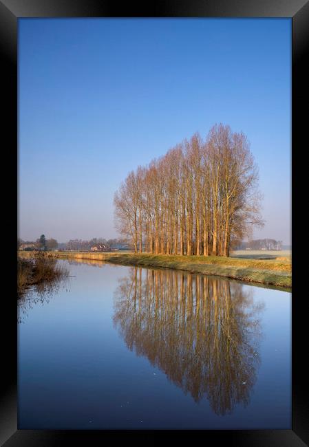 Row of trees along the Berkel river Framed Print by John Stuij